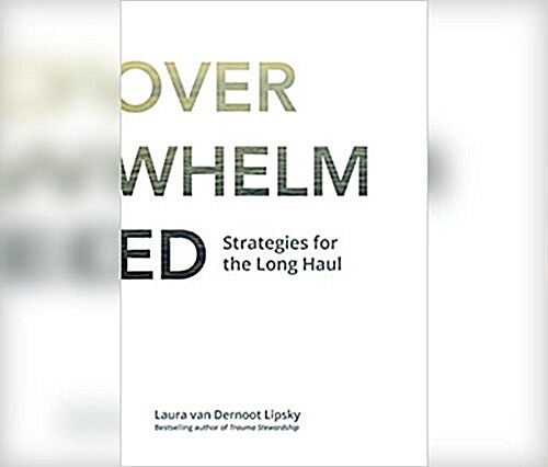 The Age of Overwhelm: Strategies for the Long Haul (MP3 CD)