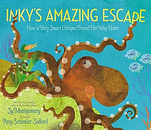 Inkys Amazing Escape: How a Very Smart Octopus Found His Way Home (Hardcover)
