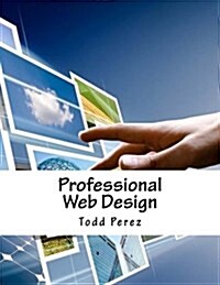 Professional Web Design (Paperback)