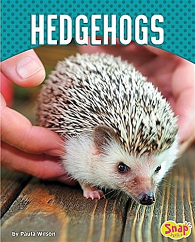 Hedgehogs (Hardcover)