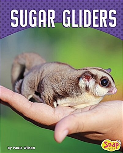 Sugar Gliders (Hardcover)