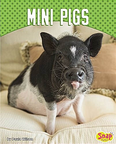 Mini Pigs (Hardcover)