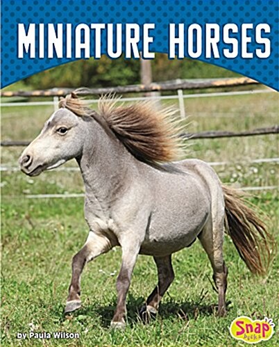 Miniature Horses (Hardcover)