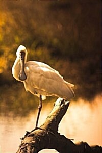 Spoonbill Notebook: 150 Lined Pages, Softcover, 6 X 9 (Paperback)