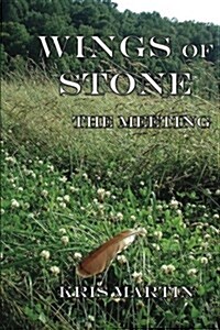 Wings of Stone - The Meetings (Paperback)