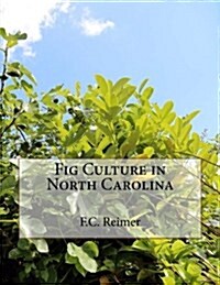 Fig Culture in North Carolina (Paperback)