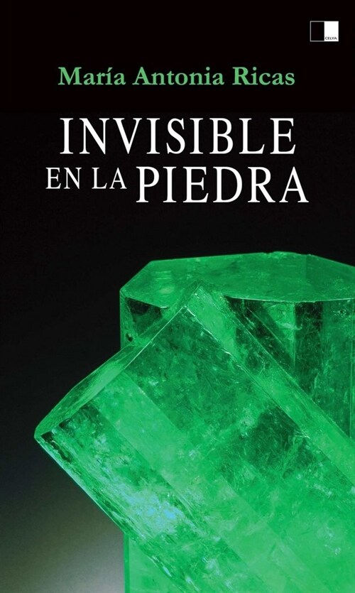 INVISIBLE EN LA PIEDRA (Paperback)