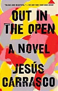 Out in the Open (Paperback, Reprint)