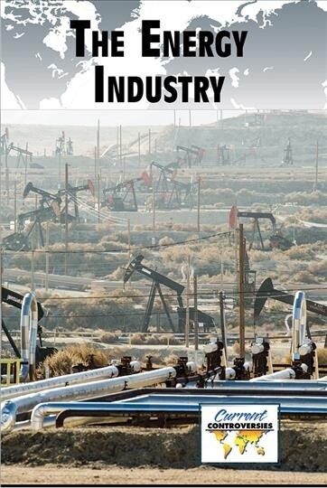 The Energy Industry (Paperback)