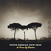 [수입] Peter Erskine New Trio - In Praise Of Shadows (CD)