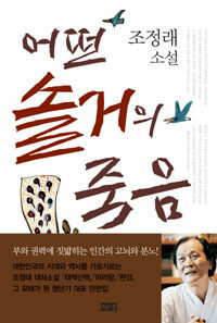 어떤 솔거의 죽음: 조정래소설