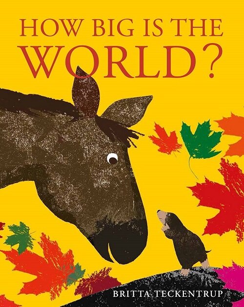 How Big is the World? (Paperback)