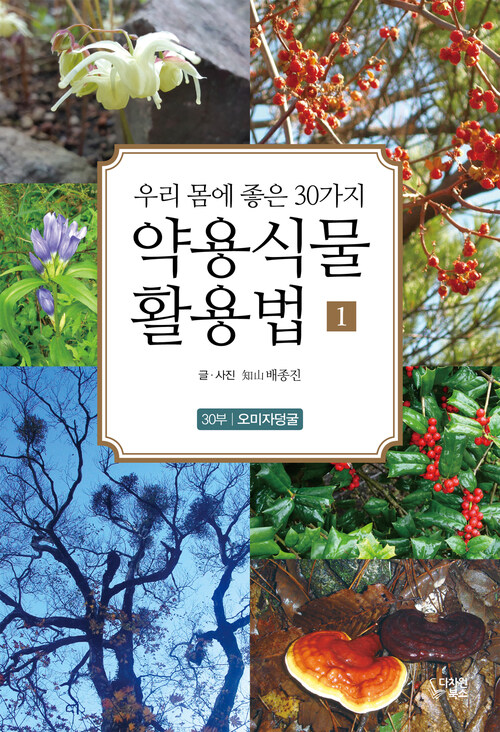 약용식물 활용법 1- 30부 오미자덩굴 : 기억력을 향상하고 집중력을 강화하는