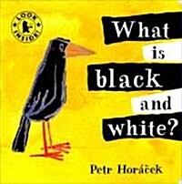 What is Black and White? (Board Book)