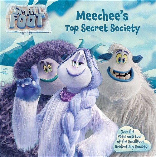 Meechees Top Secret Society (Paperback)