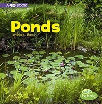 Ponds: A 4D Book (Paperback)