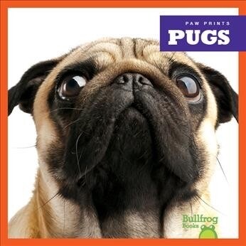 Pugs (Hardcover)