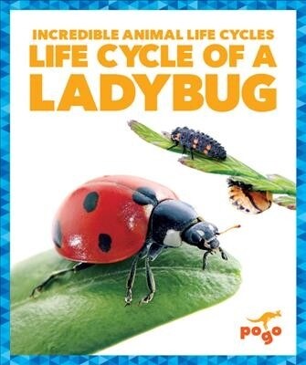 Life Cycle of a Ladybug (Hardcover)