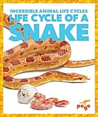 Life Cycle of a Snake (Hardcover)