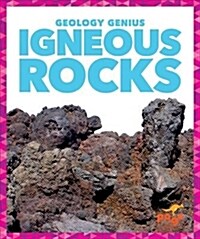 Igneous Rocks (Hardcover)