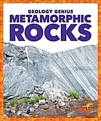 Metamorphic Rocks (Hardcover)