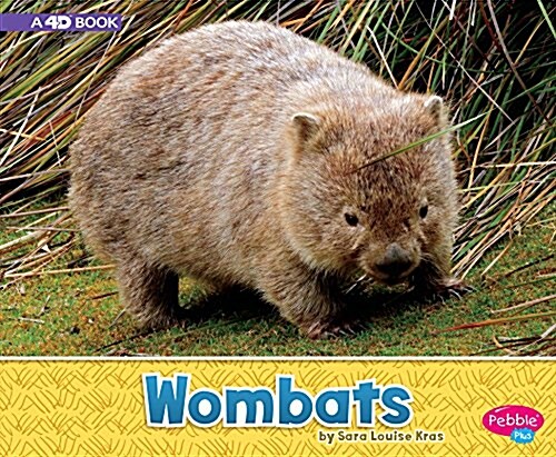 Wombats: A 4D Book (Hardcover, Revised)