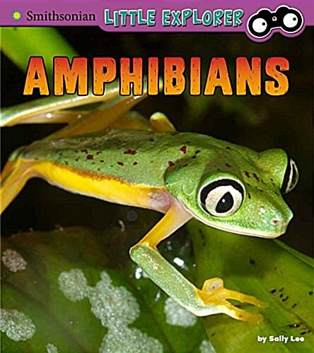 Amphibians: A 4D Book (Paperback)