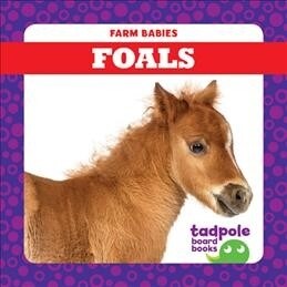 Foals (Board Books)