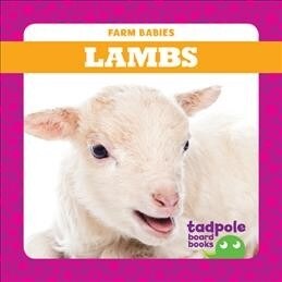 Lambs (Board Books)