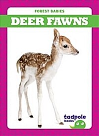 Deer Fawns (Hardcover)