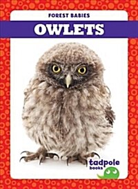 Owlets (Hardcover)