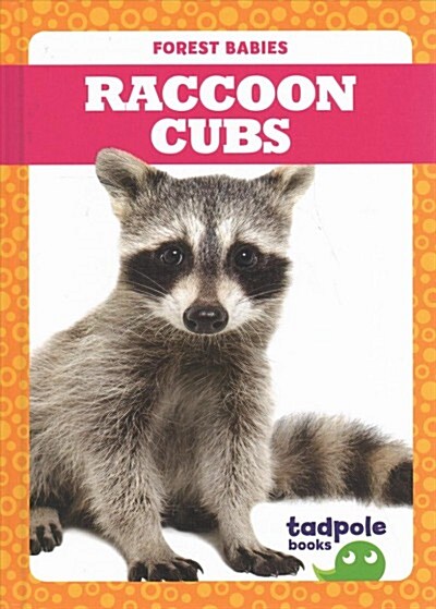Raccoon Cubs (Hardcover)
