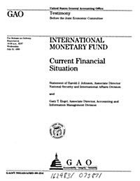 International Monetary Fund: Current Financial Situation (Paperback)