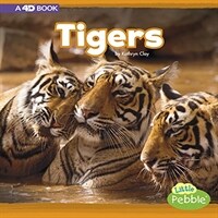 Tigers: A 4D Book (Paperback)