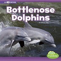 Bottlenose Dolphins: A 4D Book (Paperback)