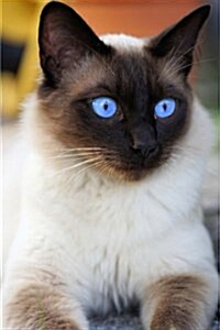 Siamese Cat Notebook: 150 Lined Pages, Softcover, 6 X 9 (Paperback)