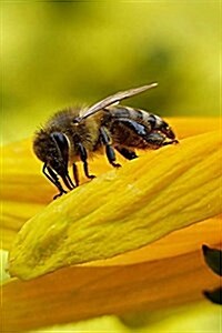 Honey Bee Notebook: 150 Lined Pages, Softcover, 6 X 9 (Paperback)