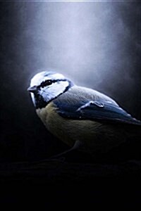 Blue Tit Notebook: 150 Lined Pages, Softcover, 6 X 9 (Paperback)
