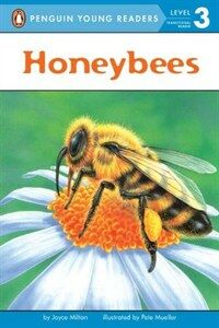 Honeybees 표지이미지