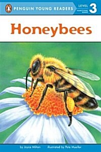 [중고] Honeybees (Paperback)