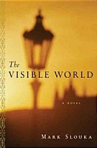 The Visible World (Hardcover)