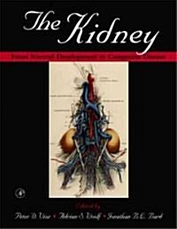 The Kidney: From Normal Development to Congenital Disease (Hardcover)