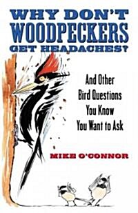 Why Dont Woodpeckers Get Headaches?: And Other Bird Questions You Know You Want to Ask (Paperback)