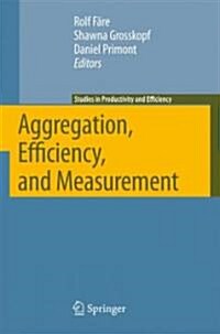 Aggregation, Efficiency, and Measurement (Hardcover)