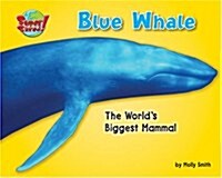 Blue Whale: The Worlds Biggest Mammal (Library Binding)