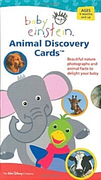 [중고] Animal Discovery Cards, Beautiful Nature Photographs and Animal Facts to Delight Your Tots (Cards)
