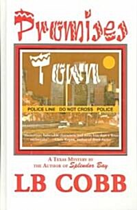 Promises Town (Hardcover)
