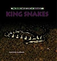King Snakes (Library Binding)