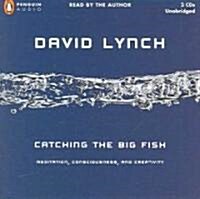 Catching the Big Fish: Meditation, Consciousness, and Creativity (Audio CD)