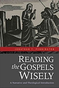 Reading the Gospels Wisely: A Narrative and Theological Introduction (Paperback)